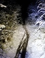 ze šwihu 6.3.2019
